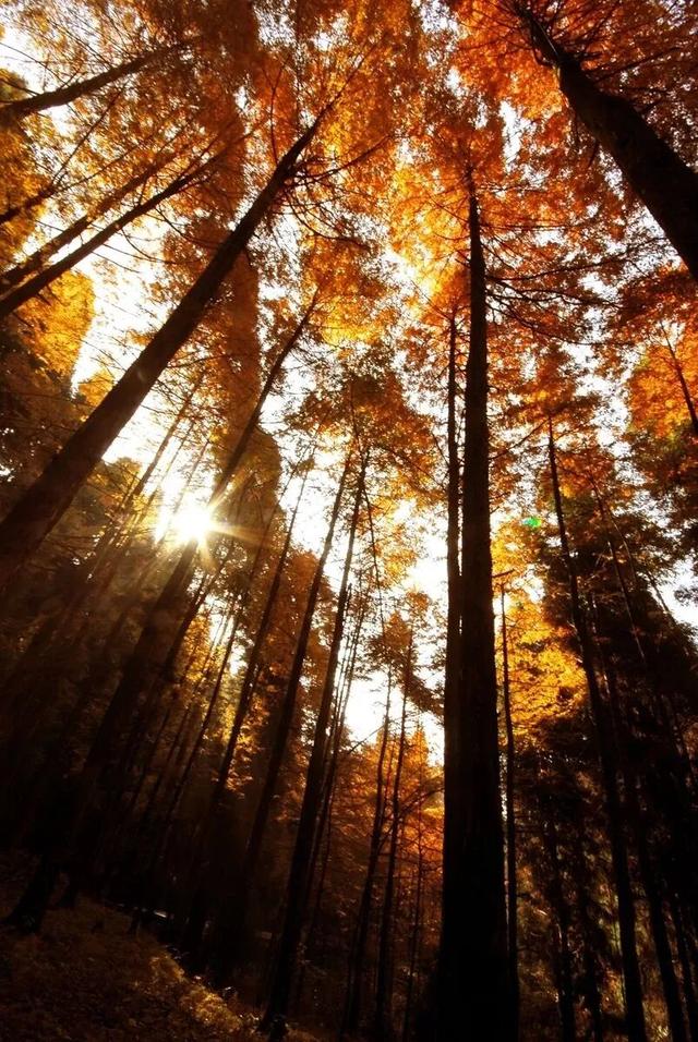 这个秋天来坪坝营，把日子过成童话！