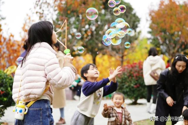 梧桐“染金”！初冬的万源风景如画