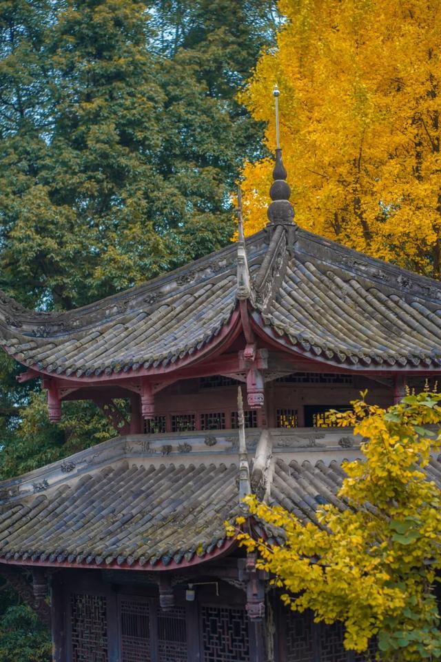 彭州这条“世界级”徒步线，走起！