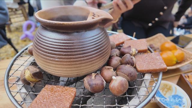 初冬“杏”韵：邂逅贵州的金色浪漫