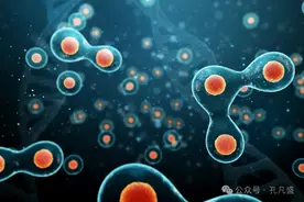 白血病化疗后残留≠复发！医生揭秘：这些信号才是关键“预警器”图片