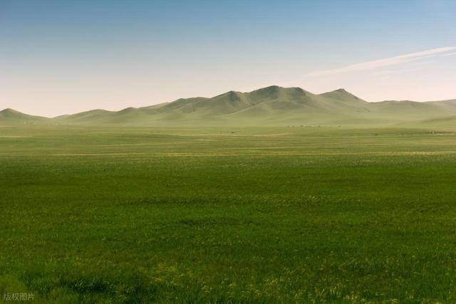 中国草原 NO.1! 低调了数千年的牧场，曾让成吉思汗都在此策马奔腾