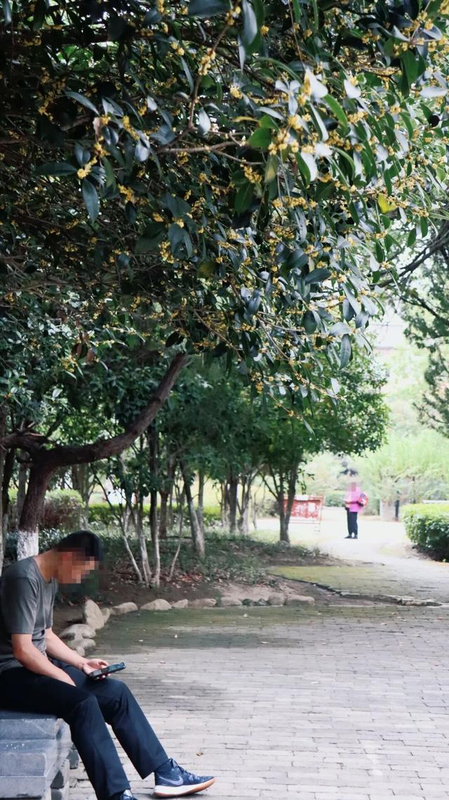 不上班的随州人，最近都去哪儿了？