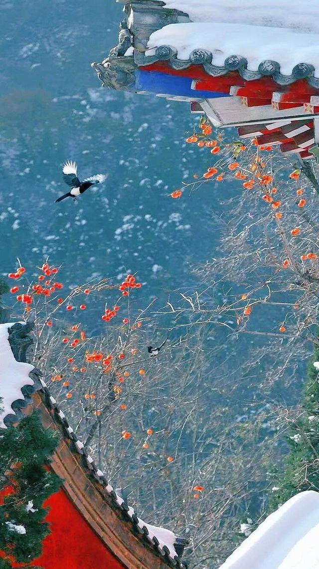 冬日奇境！巩义青龙山冰瀑即将“上线”