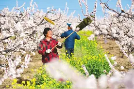 不误农时不负春 山西各地多措并举有序推进春耕备耕图片