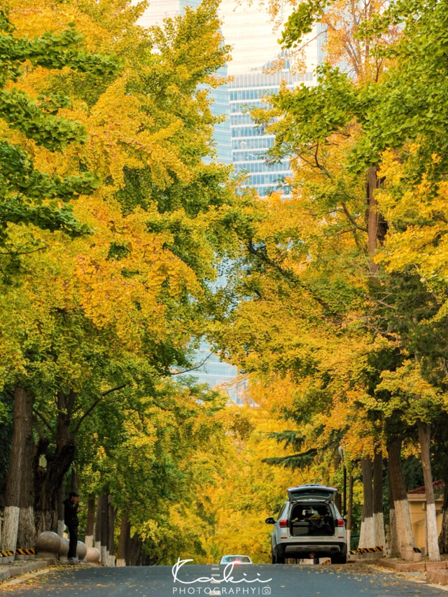 市南的2026，应该这样过...