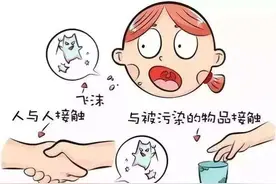 冬季呼吸道疾病高发：了解人类偏肺病毒（HMPV）图片