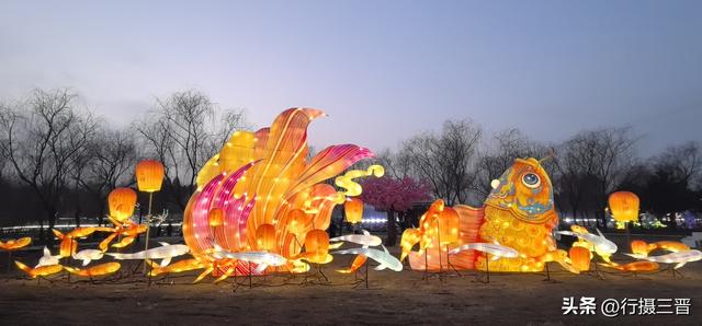 舜德花海新春嘉年华邀您共赏