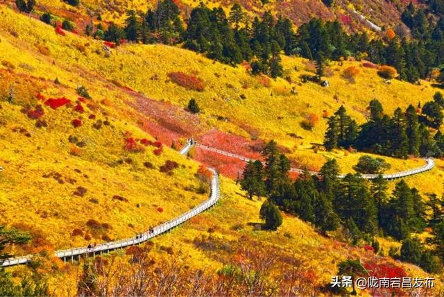 官鹅秋韵：在层林尽染中遇见“秋水天长”