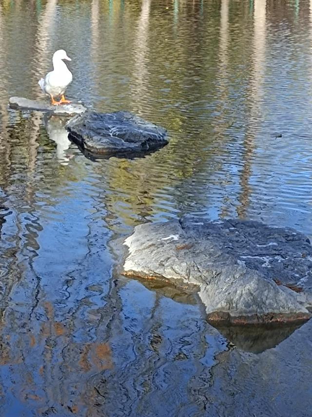 福州是个有温度的城市