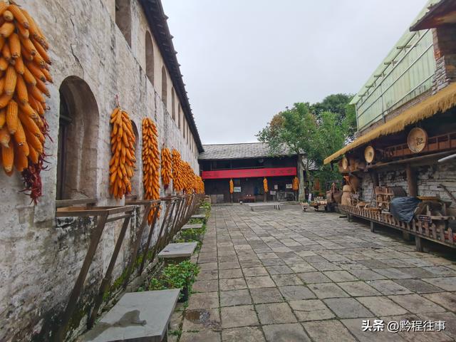 探寻龙眼山古寺遗址，一次最为艰难的野外探险之旅