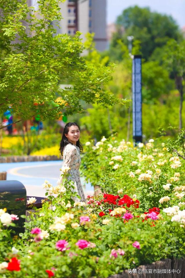 临夏市：一座把“浪漫”写进马路牙子的城市