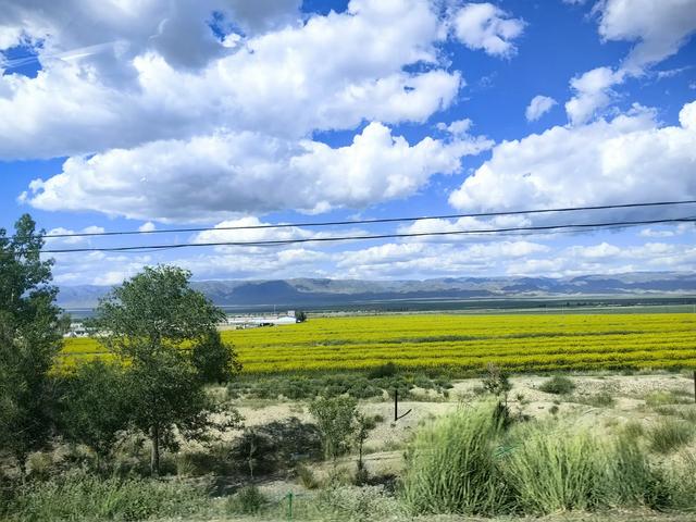 巴里坤县沿途风景