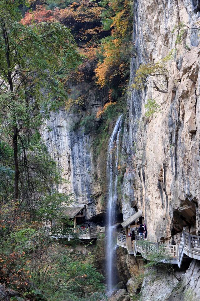 这才是秋天该有的样子~