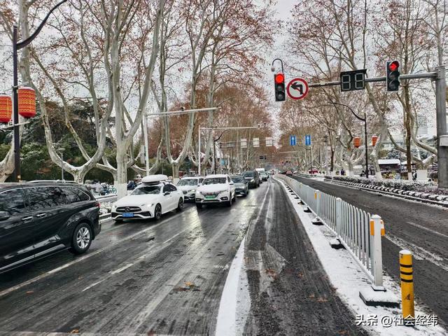 每日一景|大寒雪落金陵 明故宫梧桐披银 市民漫步享冬日诗意