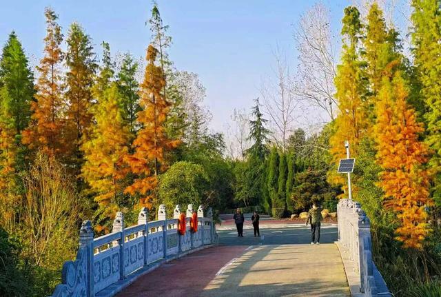 刚拍下!洛阳这个大型公园美爆了