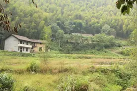 父亲走后，老家的房子上锁十年，我慢慢明白了三件事图片