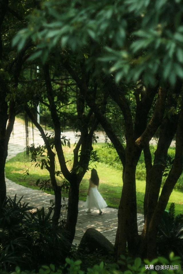 Shenzhen's Most Underrated Park: Visit to Win!