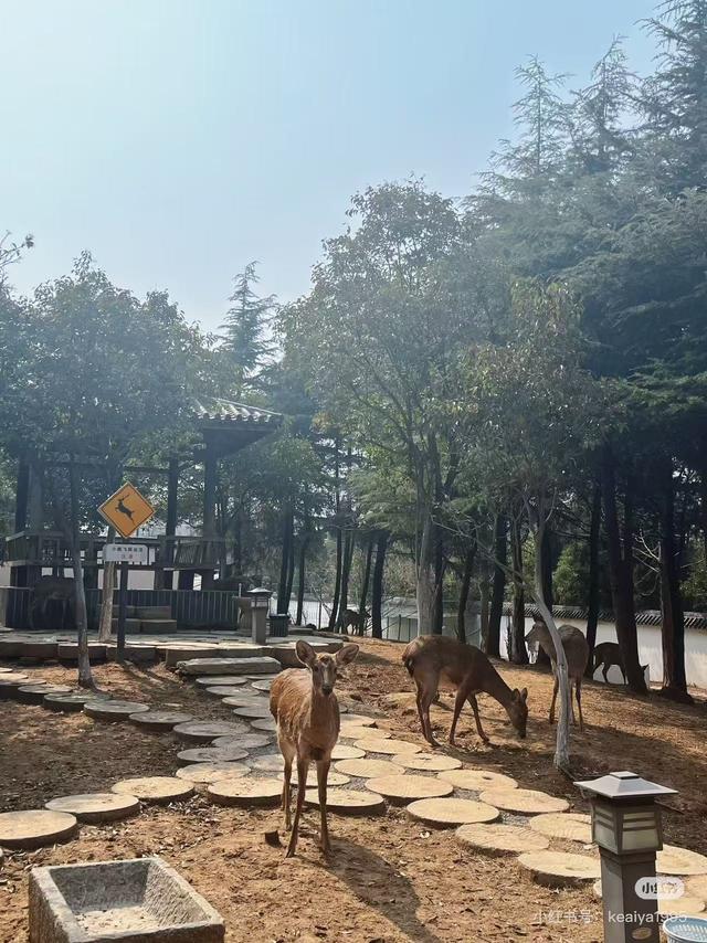 假期最后 当然是来这里啊！！