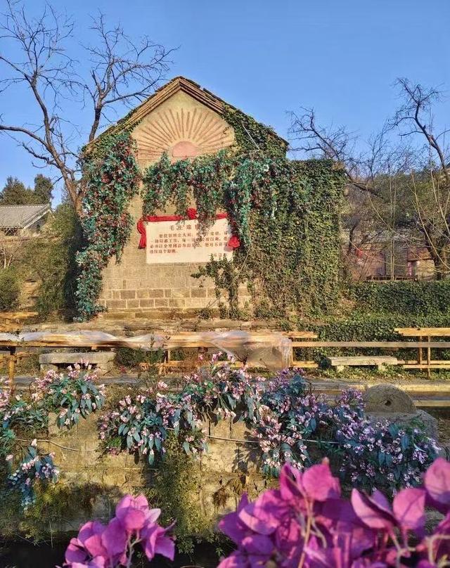 原来真的有城市，可以一天24小时都快乐~（2）