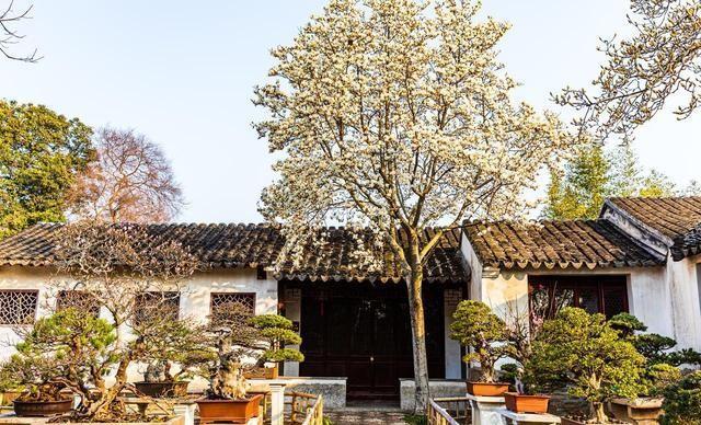 3-4月春游宝地，这6个地方，风景繁密，适合踏春