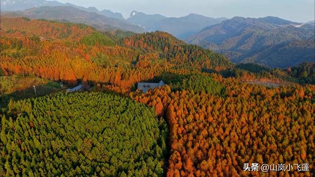 渝厦高铁(重庆-长沙)全面细致“线路、站点、景点”介绍