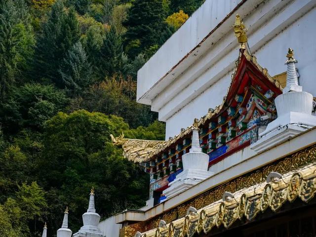 诗韵达古（三十二）| 徐潋《达古：山与冰川的共和（组诗）》