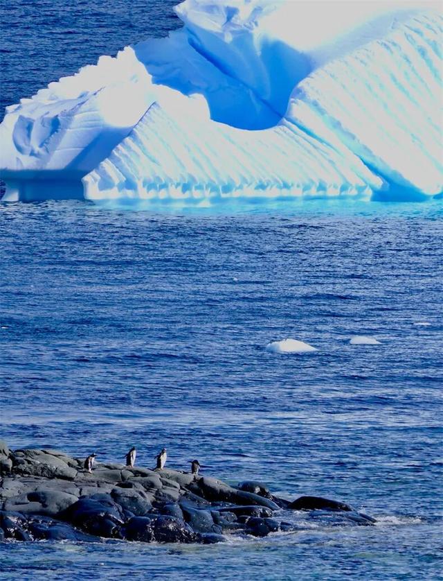 一生一次的终极远征，41天横跨南极半岛+南美四国（自驾）！