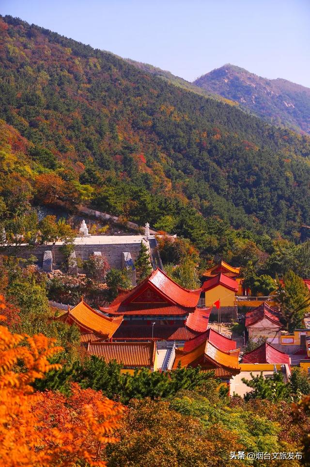 【乐游烟台】一眼惊艳!烟台这座小城最近太火了