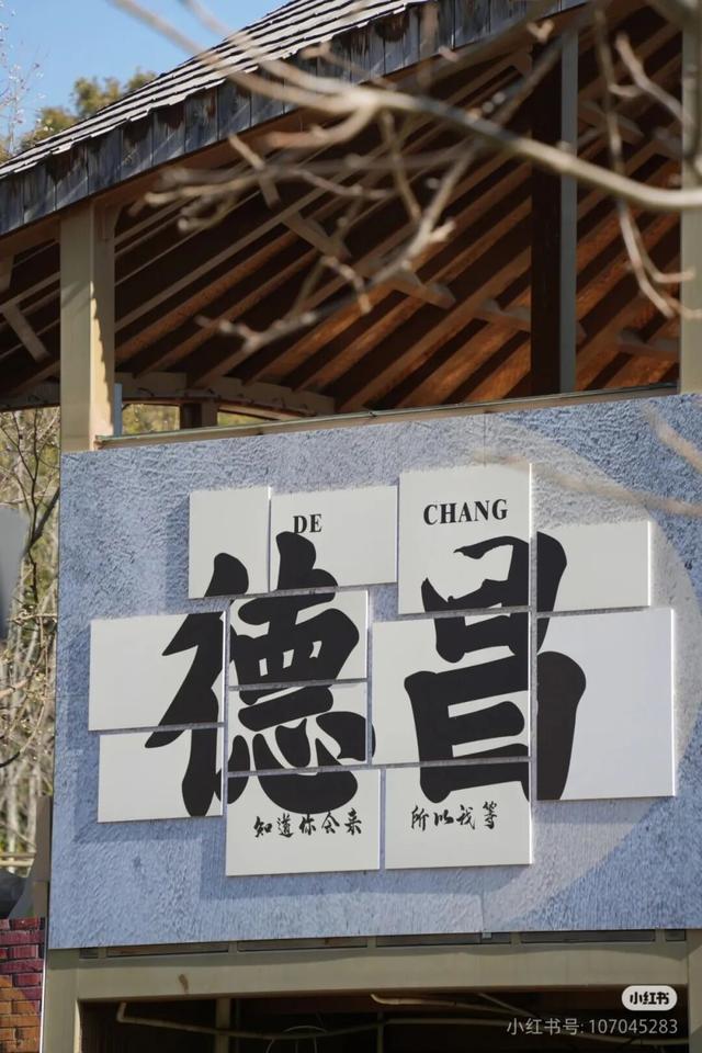 11月又放7天，去西昌感受节日氛围，周末就能往返