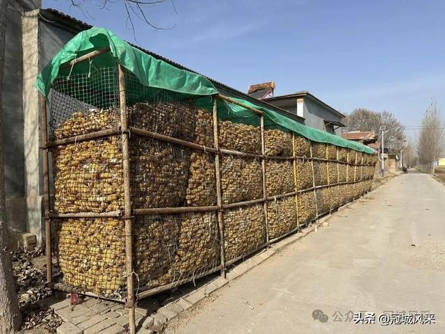 冠县乡韵·辛集镇饮马庄