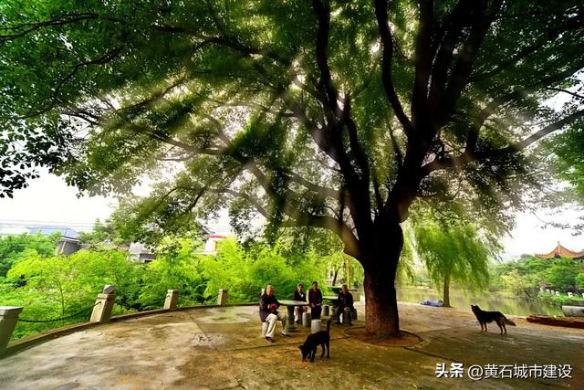 快来黄石这一处宁静之地!藏在山水间的世外桃源