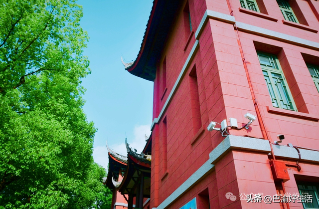 北碚公园竟是"大熊猫"命名地，原来藏着这么多秘密