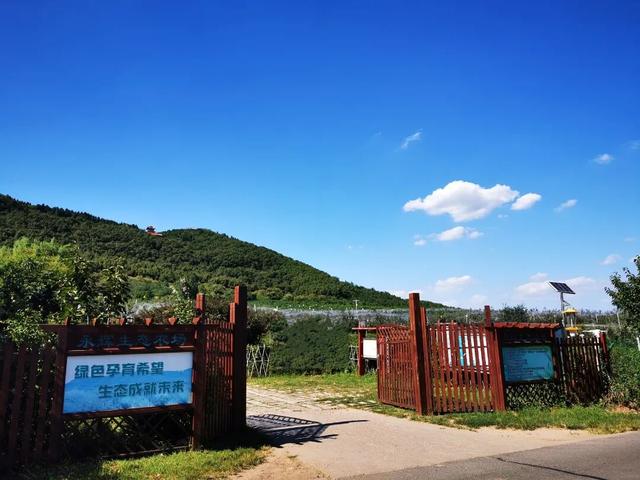 “齐鲁天路”诸城段景点（八）：永辉乡间生态园