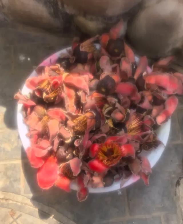 攀枝花：一朵能吃的“城”