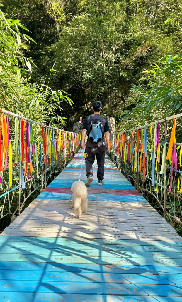 在韶关，带毛孩子去哪“浪”？这份宠物友好地图请收藏，撒欢不踩雷~