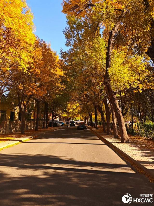 秋洒落的地方 藏着温柔与力量