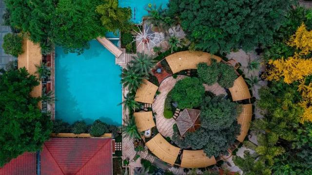 即刻出发！三款新年宝藏玩法，带你趣玩南岸