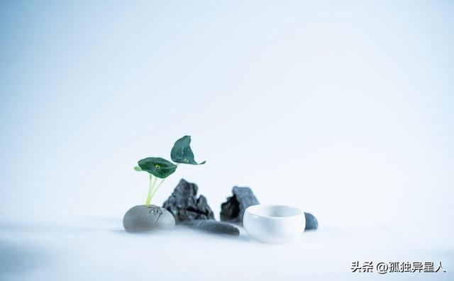 良心歪的人一定会得到报应，善恶终有报，远报子孙，近报自身