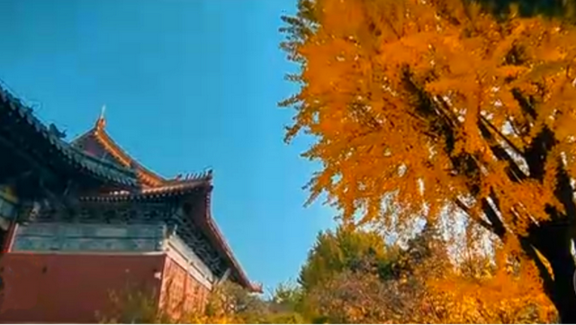 泰安秋韵：一入此境便难忘