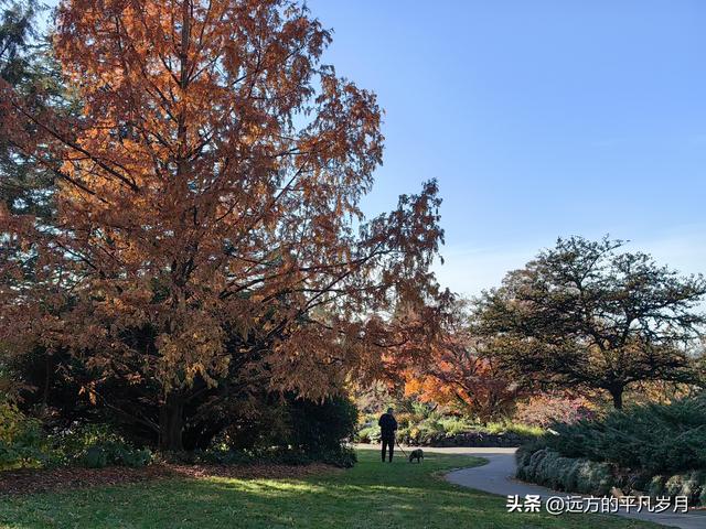 温哥华游记（六）