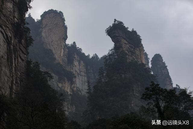 张家界国家森林公园的自然诗篇