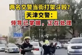天津交警上演街头互殴！执法者形象遭严重挫伤！图片