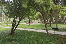 社保缴费暂未调整，河南个人月缴715.8，20年，退休时能领2000吗图片