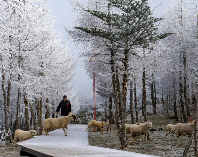 大凉山冬韵：冰雪、暖泉与阳光交织