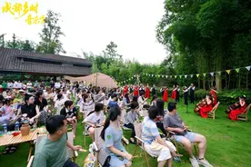 成都乡村音乐季，如何为城市文旅“加戏”？图片