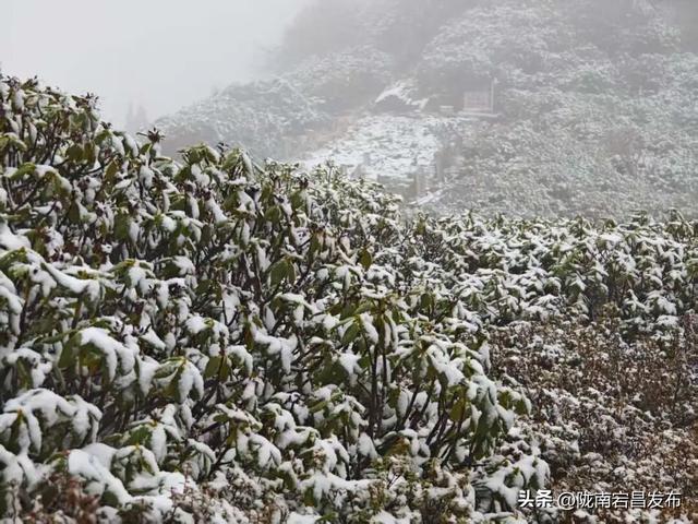 雷古山初雪：云端之上的冰雪絮语