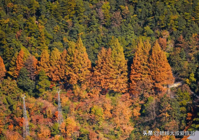 杭州“打工人”秋季度假地来了，免门票直接逛，随手一拍都是壁纸