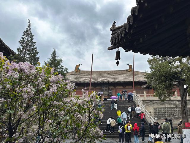 华严寺：“八大辽构”之七，拥有最美辽塑菩萨和最美古代书橱
