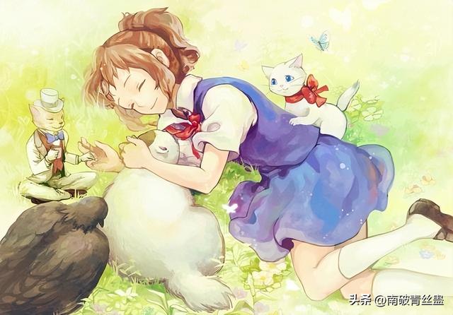 电影《猫的报恩》：在猫咪王国奇幻冒险，寻找真正的自我